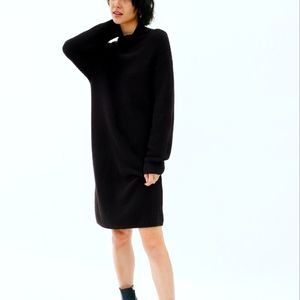 NWT Aritzia Danica Mock Neck 100% Merino Wool Sweater Dress